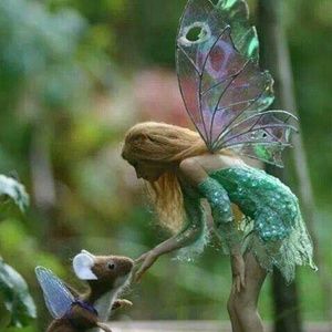 Meet your Posher, Toni